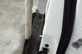 Porte arriere gauche RENAULT KADJAR