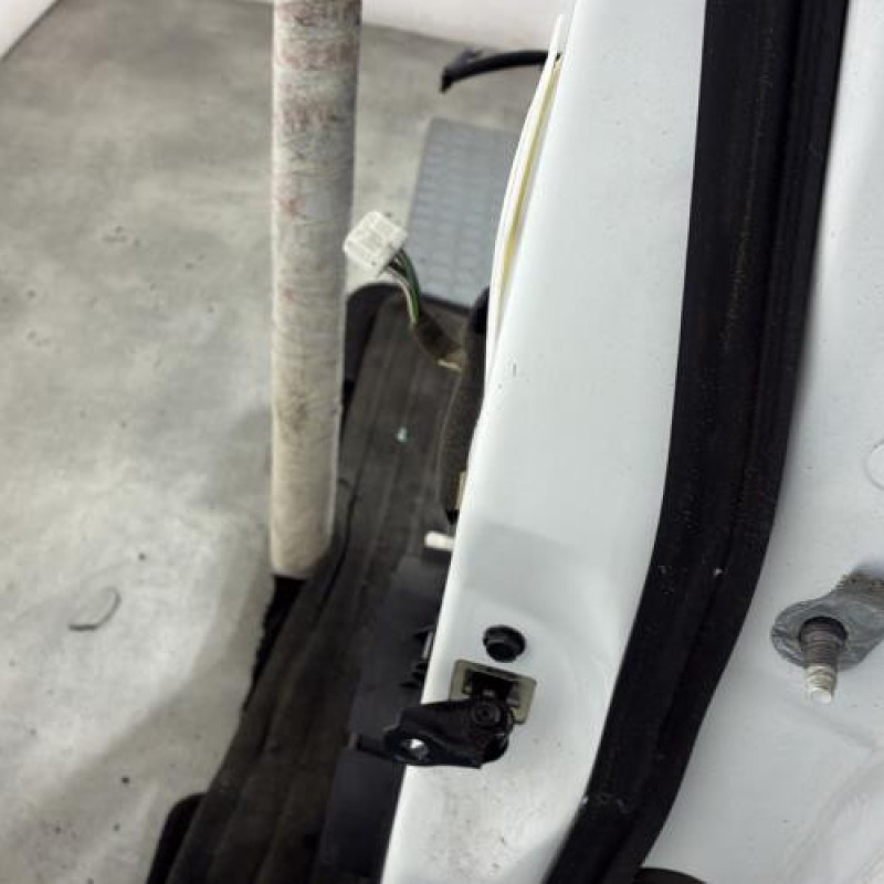 Porte arriere gauche RENAULT KADJAR Photo n°2