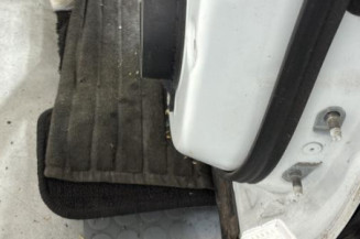 Porte arriere gauche RENAULT KADJAR