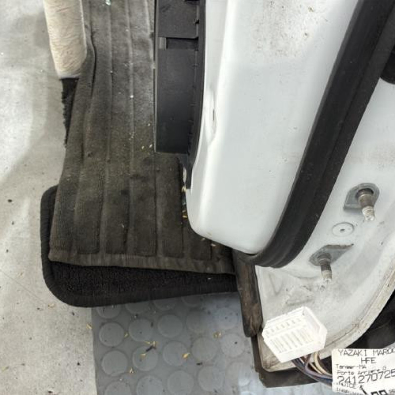 Porte arriere gauche RENAULT KADJAR Photo n°3