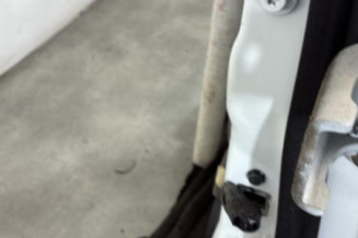 Porte avant gauche RENAULT KADJAR