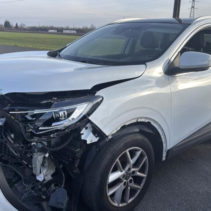 Porte avant gauche RENAULT KADJAR Photo n°13