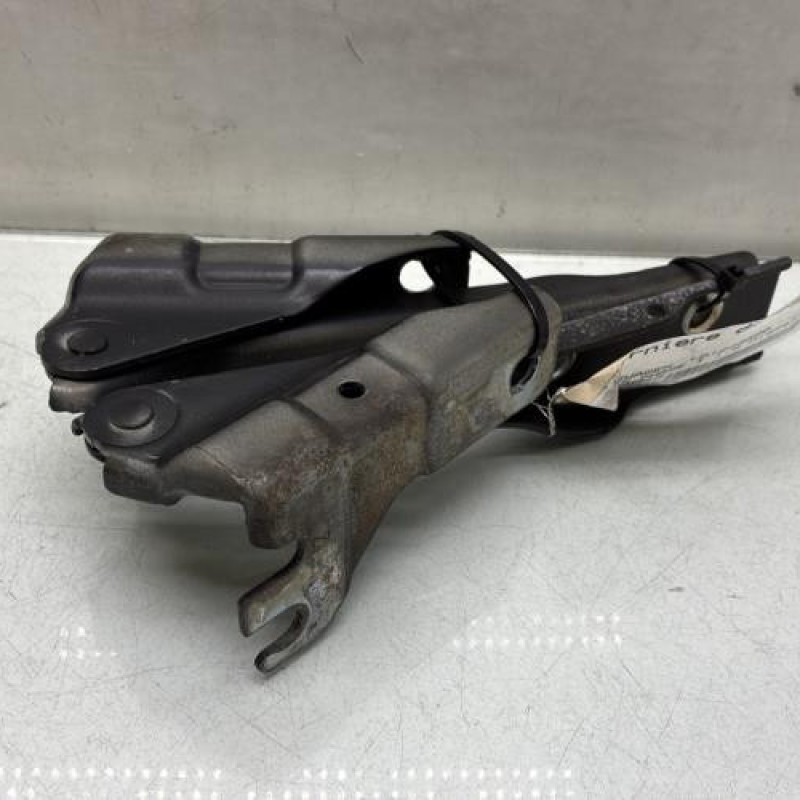 Charniere de capot VOLKSWAGEN POLO 5 Photo n°1