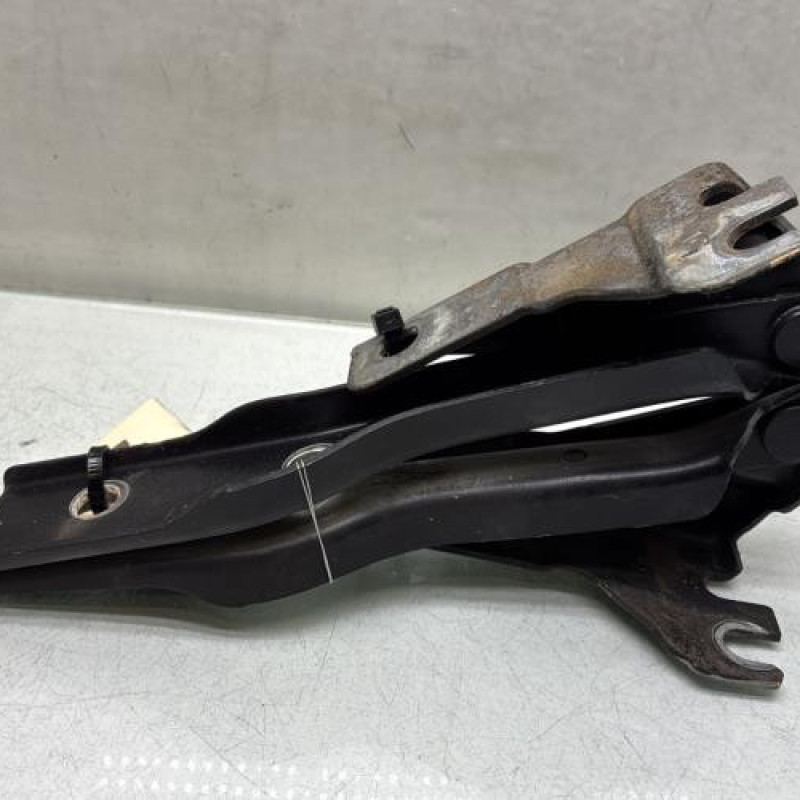 Charniere de capot VOLKSWAGEN POLO 5 Photo n°3