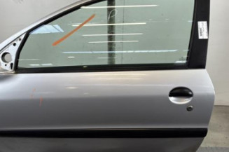 Porte avant gauche PEUGEOT 206 Photo n°1
