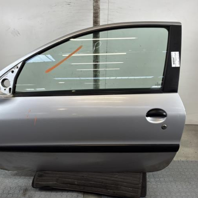 Porte avant gauche PEUGEOT 206 Photo n°1