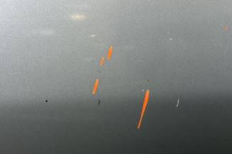 Porte avant gauche PEUGEOT 206