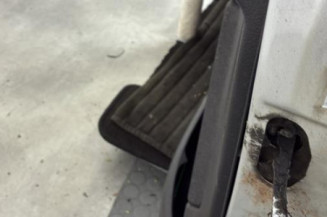 Porte avant gauche PEUGEOT 206