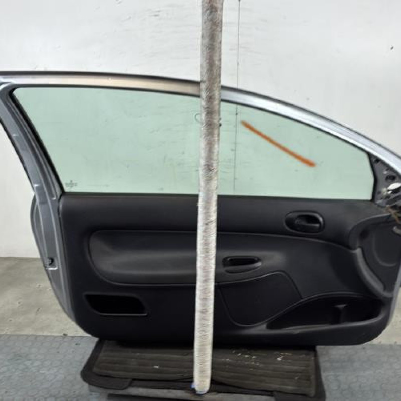 Porte avant gauche PEUGEOT 206 Photo n°7