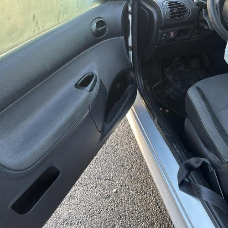 Porte avant gauche PEUGEOT 206 Photo n°16