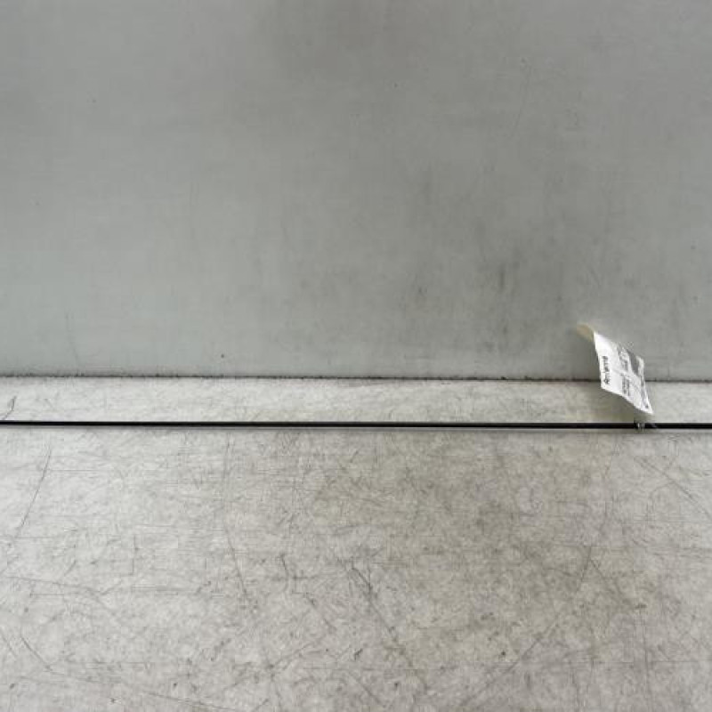 Antenne RENAULT TWINGO 1 Photo n°1