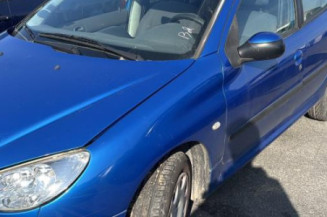 Capot PEUGEOT 206 Photo n°1