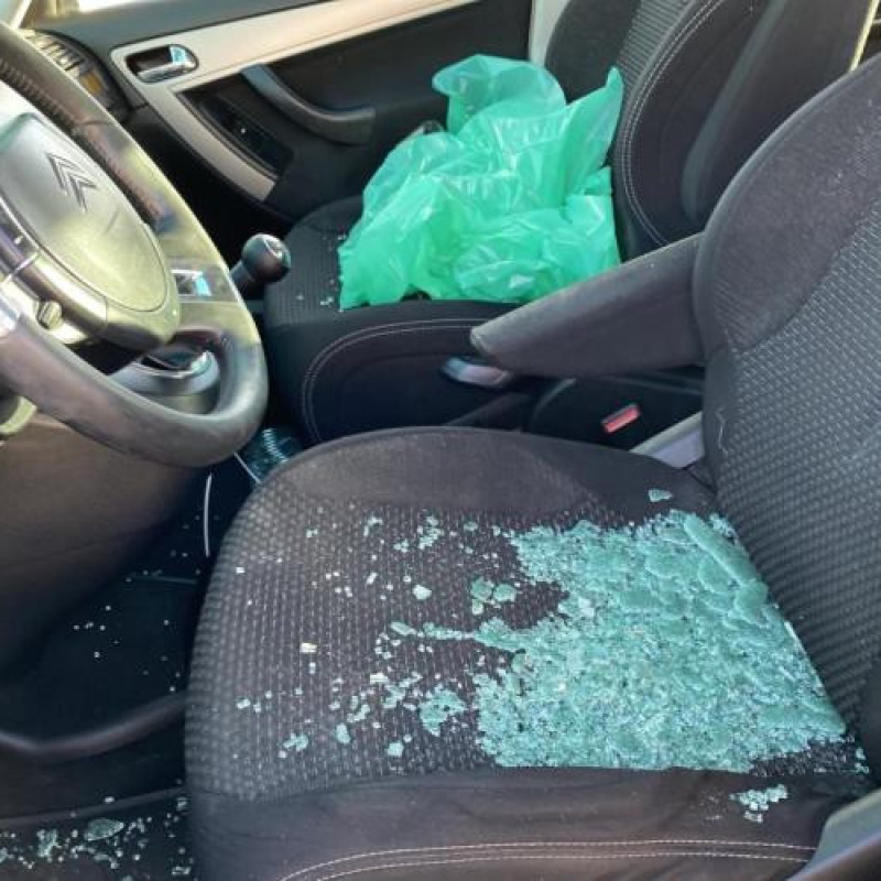 Porte avant droit CITROEN C4 PICASSO 1 Photo n°8