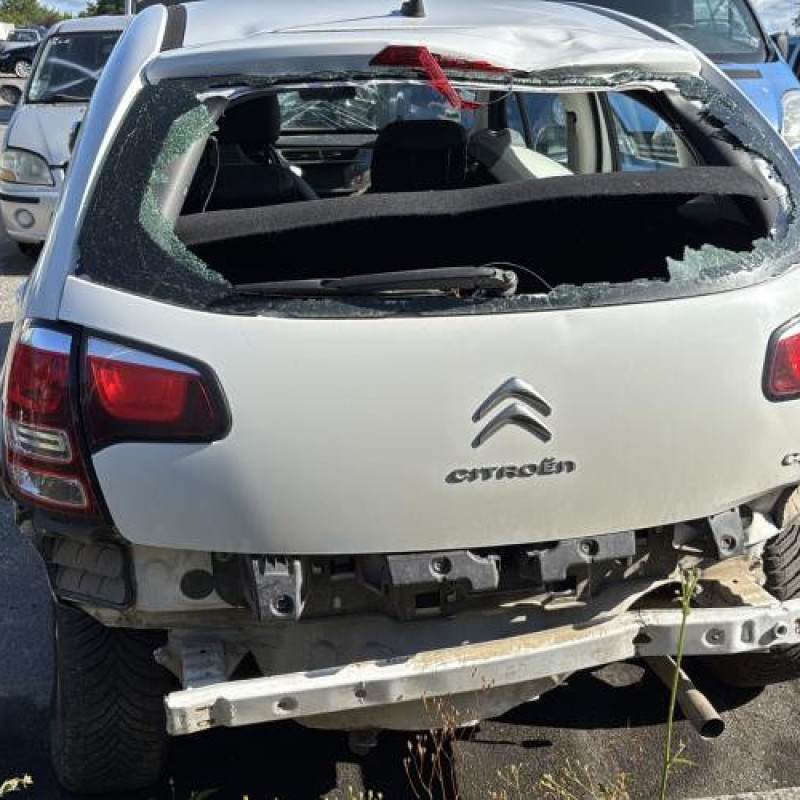 Custode avant droit (porte) CITROEN C3 2 Photo n°8