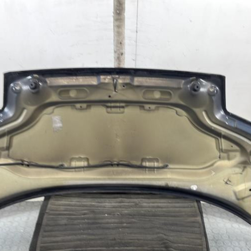 Capot CITROEN C2 Photo n°6