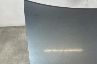 Malle/Hayon arriere VOLKSWAGEN JETTA 3