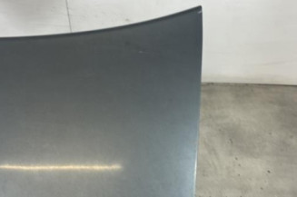 Malle/Hayon arriere VOLKSWAGEN JETTA 3