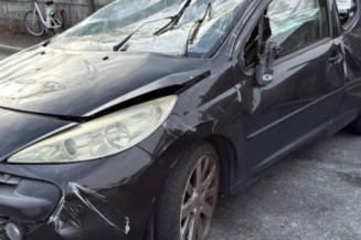 Cremaillere assistee PEUGEOT 207