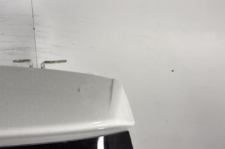 Malle/Hayon arriere BMW X3 F25