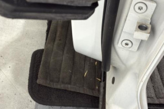 Porte arriere gauche BMW X3 F25