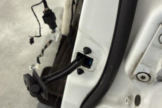 Porte avant gauche BMW X3 F25