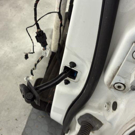 Porte avant gauche BMW X3 F25