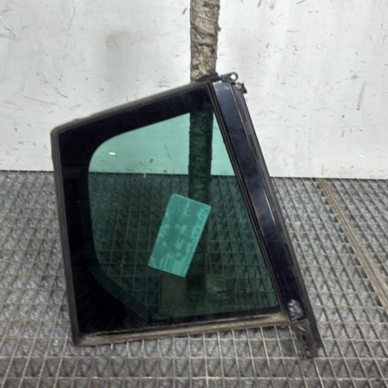 Custode arriere droit (porte) RENAULT MEGANE 4 Photo n°1