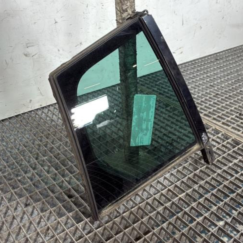 Custode arriere droit (porte) RENAULT MEGANE 4 Photo n°2