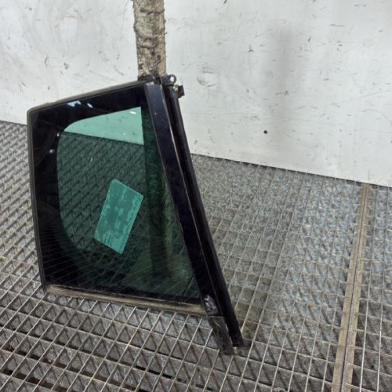 Custode arriere droit (porte) RENAULT MEGANE 4 Photo n°3