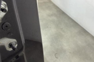 Porte arriere droit RENAULT SCENIC 4