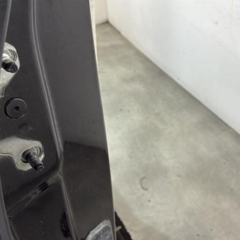 Porte arriere droit RENAULT SCENIC 4 Photo n°3