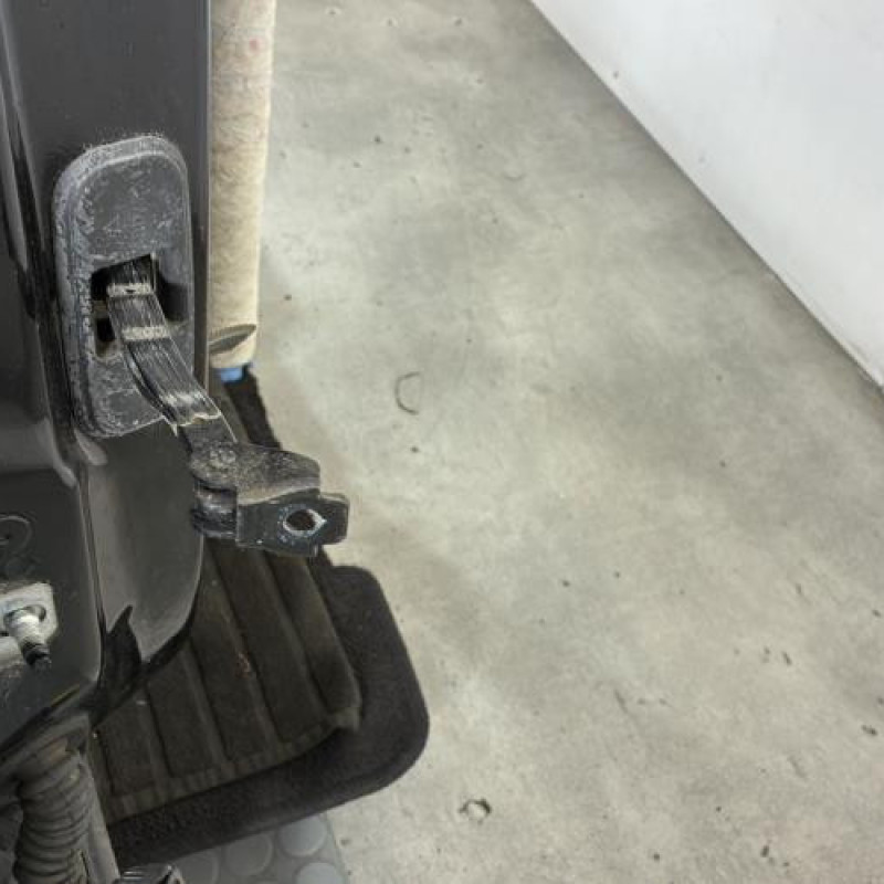 Porte arriere droit RENAULT SCENIC 4 Photo n°4