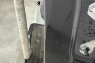 Porte arriere gauche RENAULT SCENIC 4