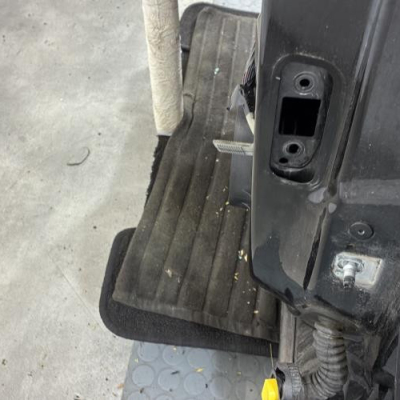 Porte arriere gauche RENAULT SCENIC 4 Photo n°3