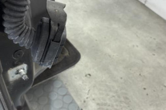 Porte avant droit RENAULT SCENIC 4