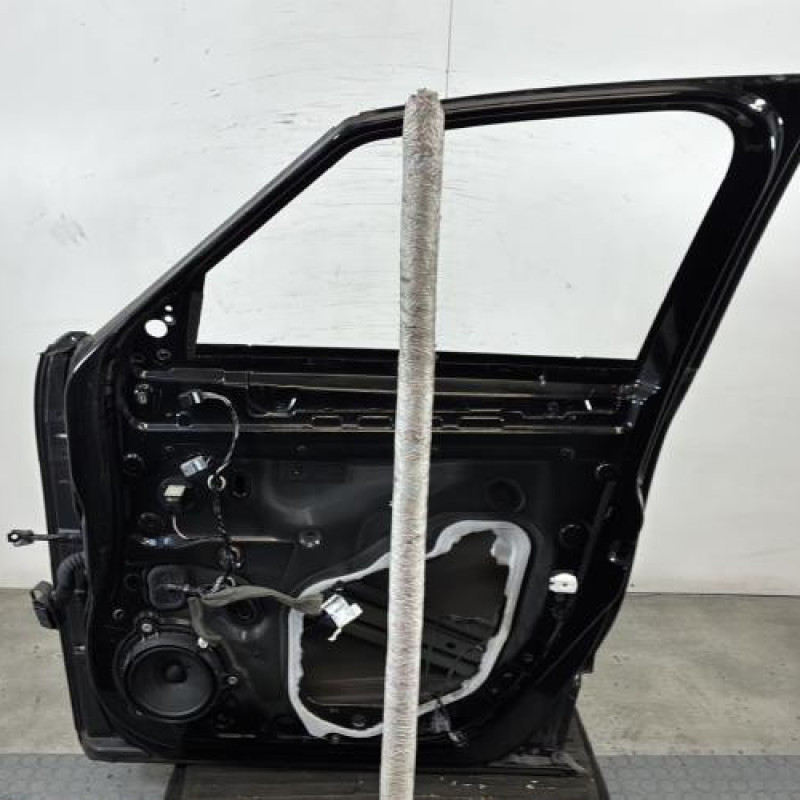 Porte avant droit RENAULT SCENIC 4 Photo n°4