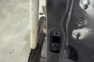 Porte avant gauche RENAULT SCENIC 4