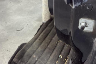 Porte avant gauche RENAULT SCENIC 4