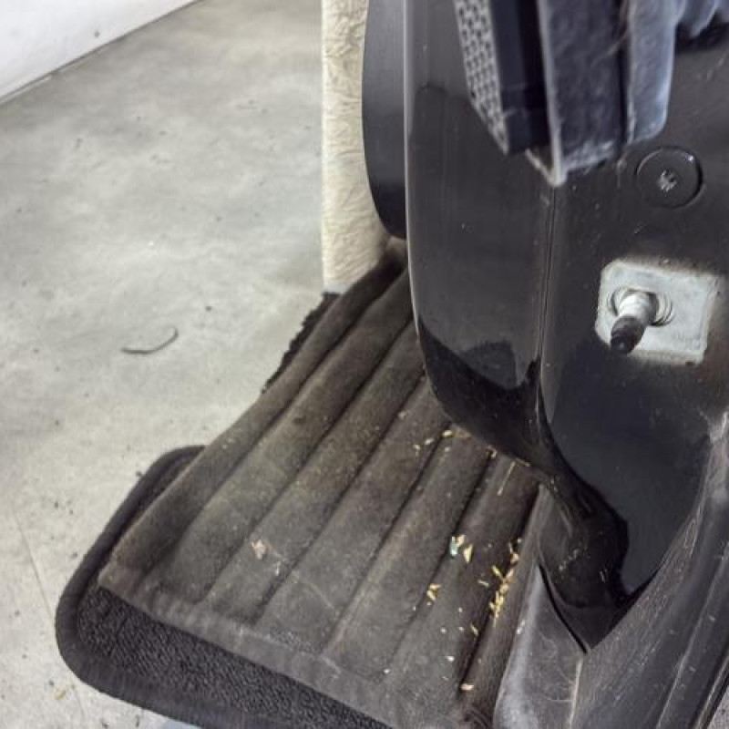 Porte avant gauche RENAULT SCENIC 4 Photo n°3