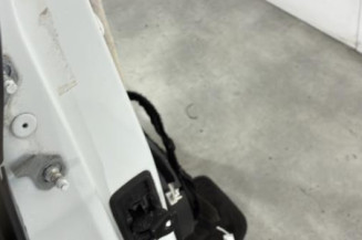 Porte arriere droit RENAULT MEGANE 4