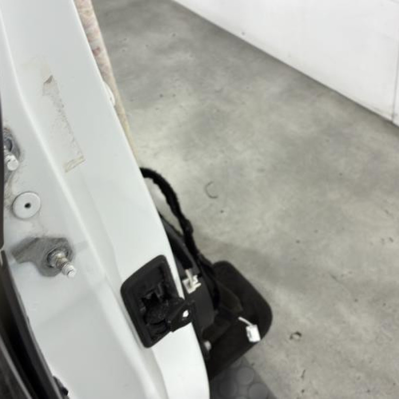 Porte arriere droit RENAULT MEGANE 4 Photo n°2