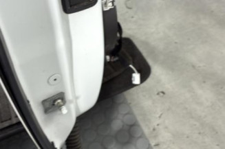 Porte arriere droit RENAULT MEGANE 4