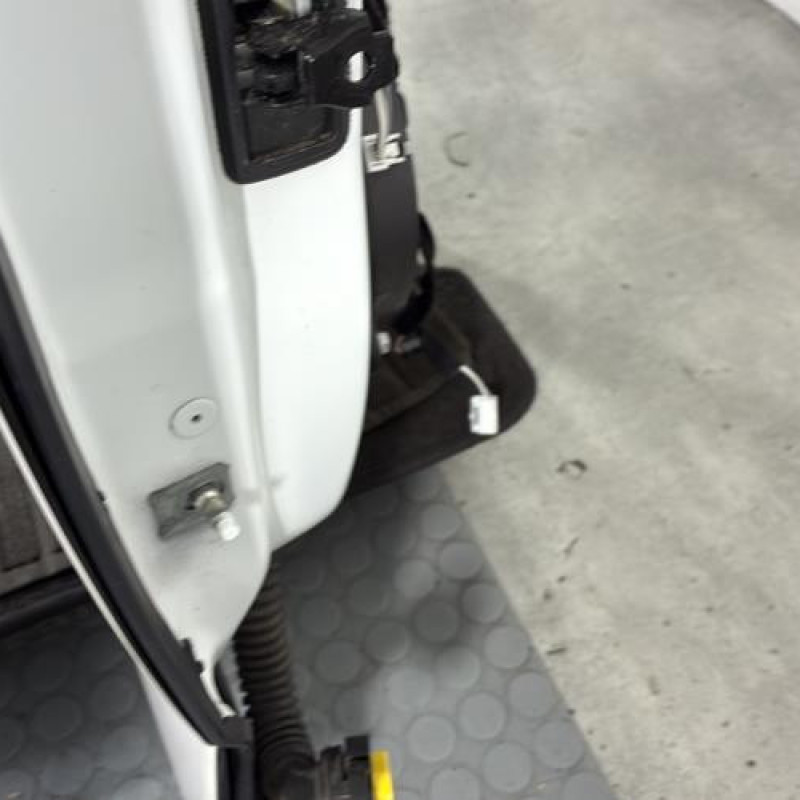 Porte arriere droit RENAULT MEGANE 4 Photo n°3