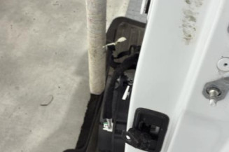 Porte arriere gauche RENAULT MEGANE 4