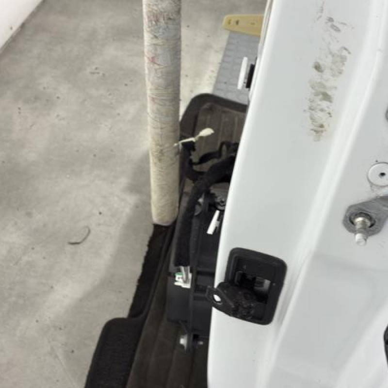 Porte arriere gauche RENAULT MEGANE 4 Photo n°2