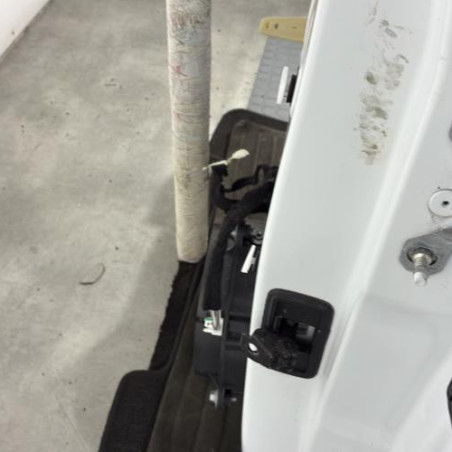 Porte arriere gauche RENAULT MEGANE 4