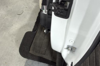 Porte arriere gauche RENAULT MEGANE 4