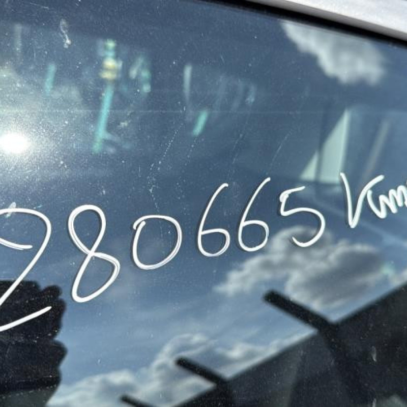 Porte avant droit MERCEDES CLASSE A 169 Photo n°15