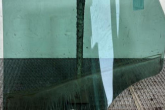 Vitre arriere droit RENAULT SCENIC 4