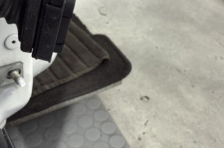 Porte avant droit RENAULT MEGANE 4